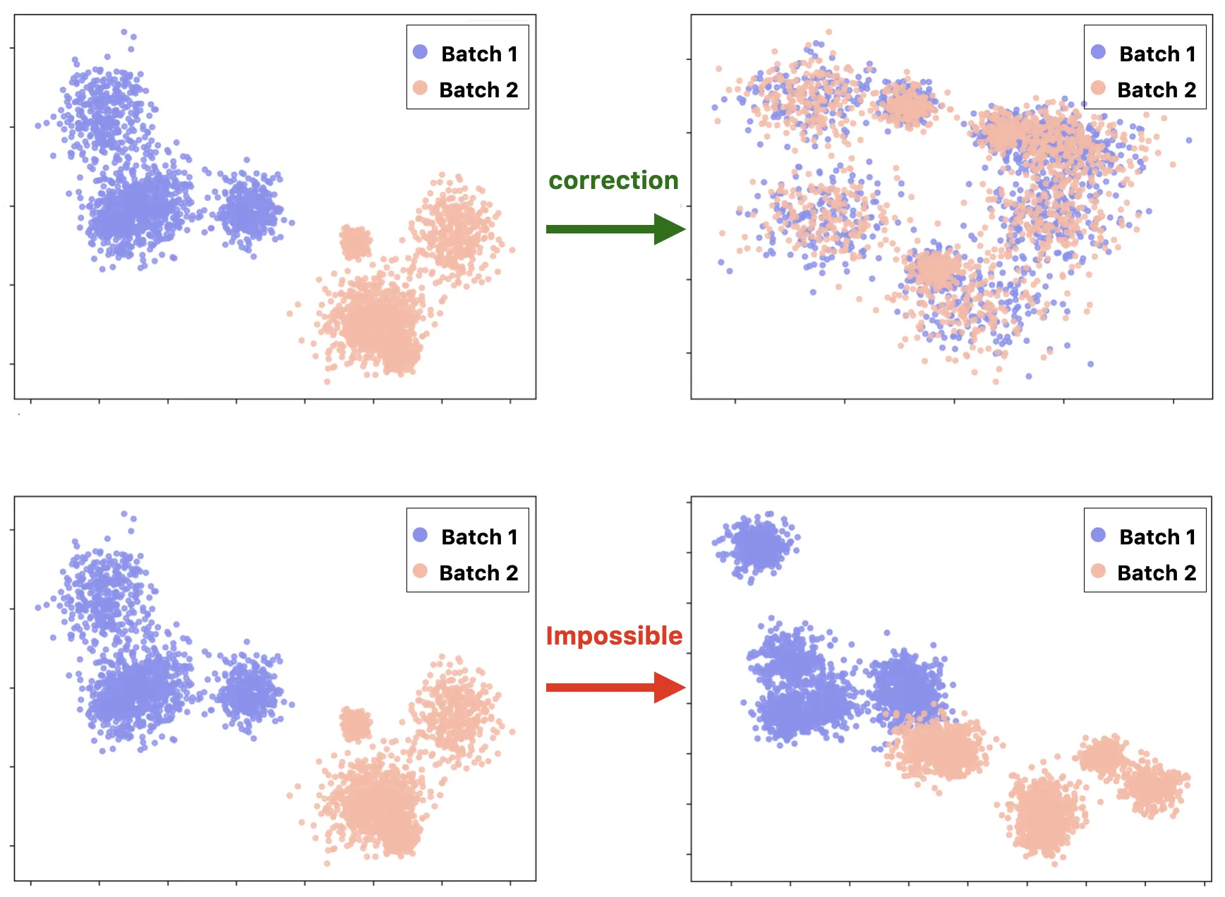 Illustration des effets batch et des stratégies d'intégration en scRNA-seq
