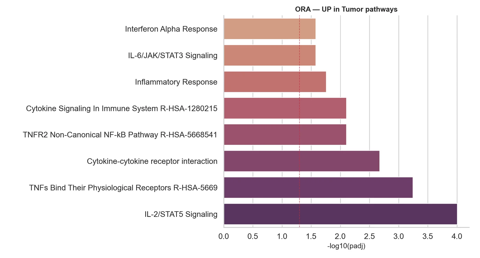 Pathway enrichment: over-representation analysis barplot of enriched gene sets per cell cluster